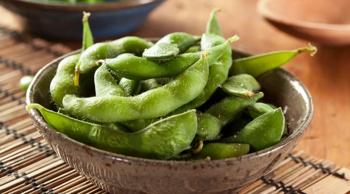 You are currently viewing Is Edamame Keto?