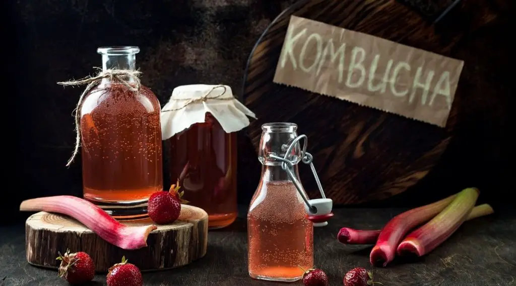 Is Kombucha Keto 