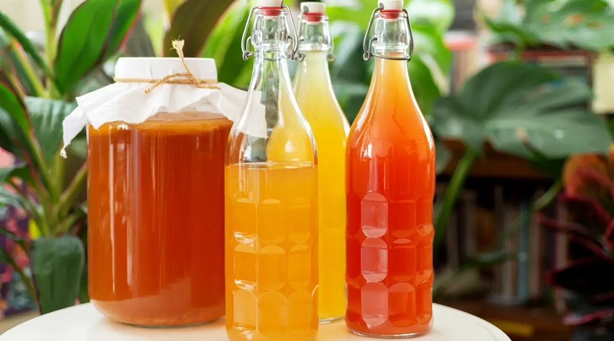 Read more about the article Is Kombucha Keto?
