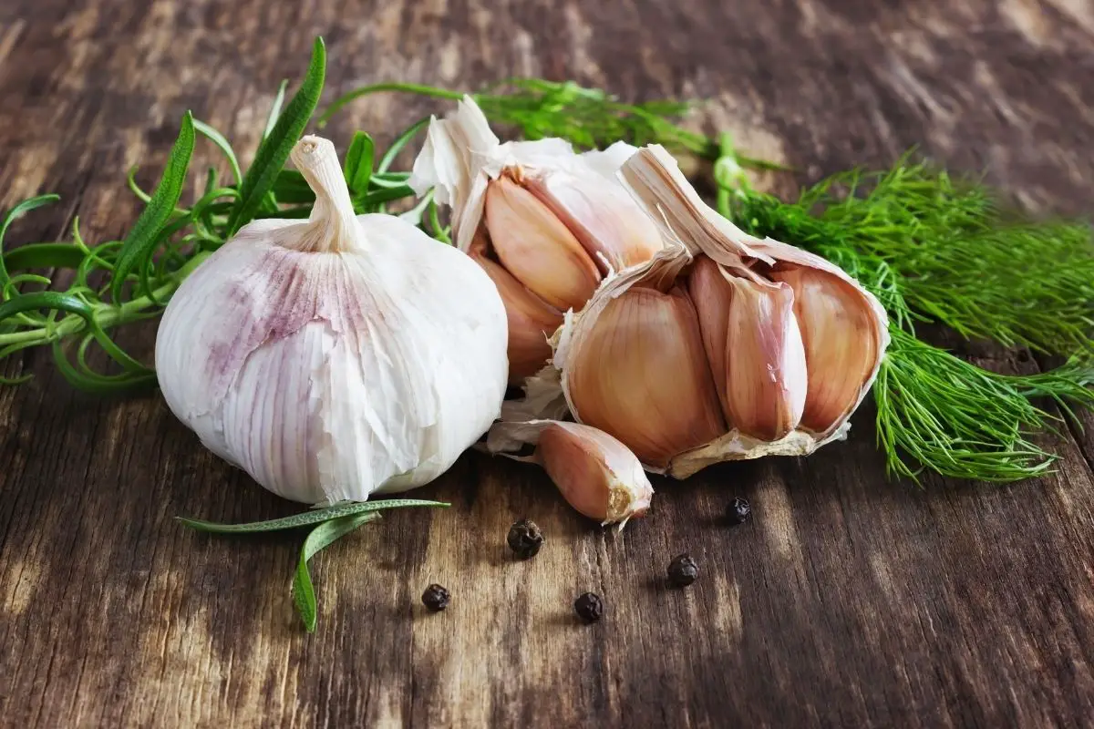 Is Garlic Keto