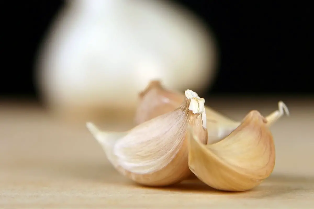Read more about the article Is Garlic Keto