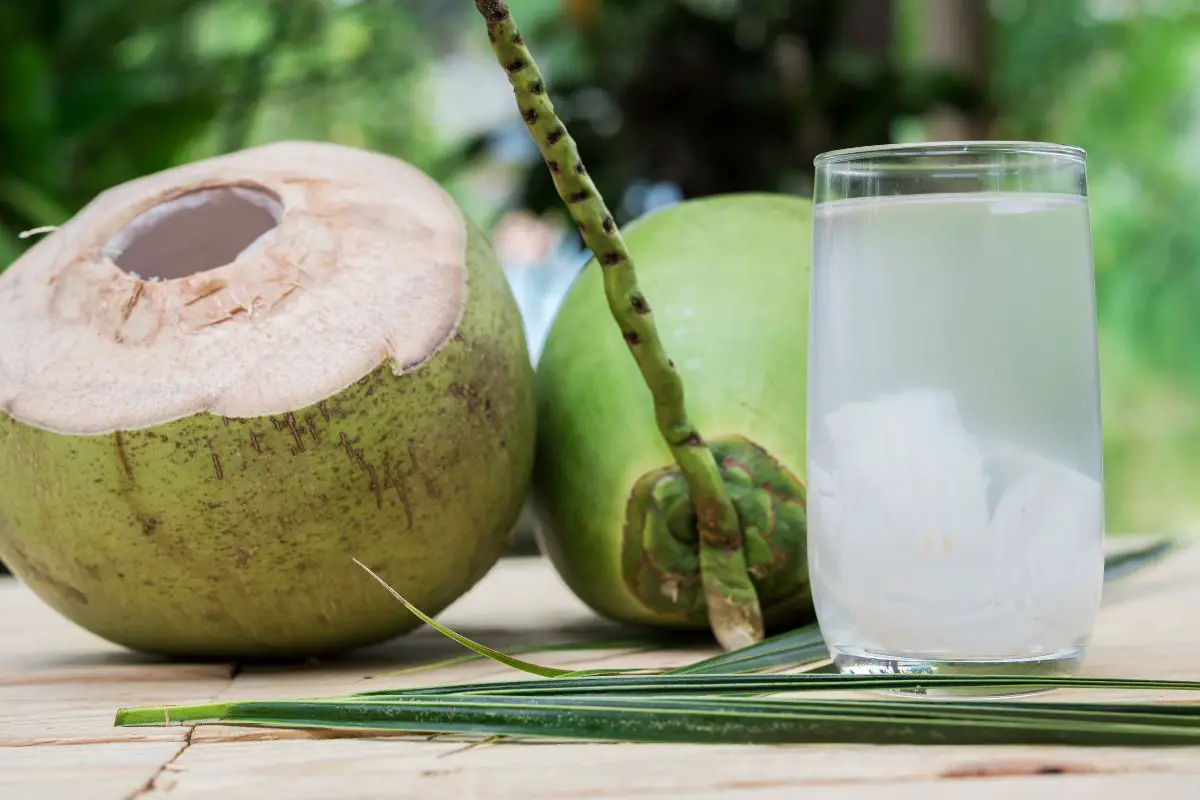 Read more about the article Is Coconut Water Keto?